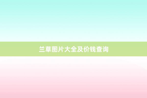 兰草图片大全及价钱查询