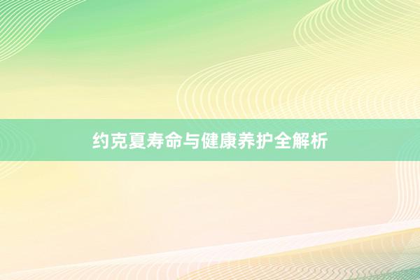 约克夏寿命与健康养护全解析